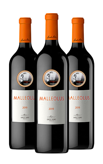 Malleolus 2019 (x3)