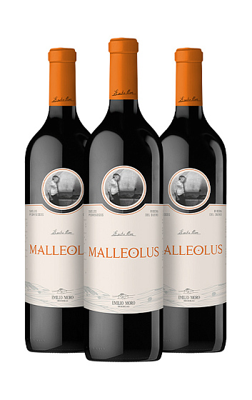 Producto: Malleolus 2022 (x3)