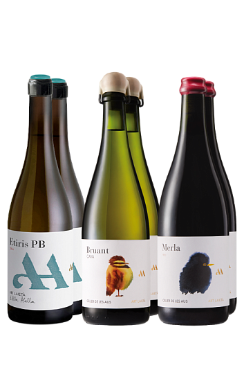 Producto: Descubre Art Laietà