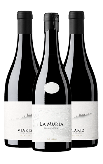 Producto: Magia en el Bierzo (x3)