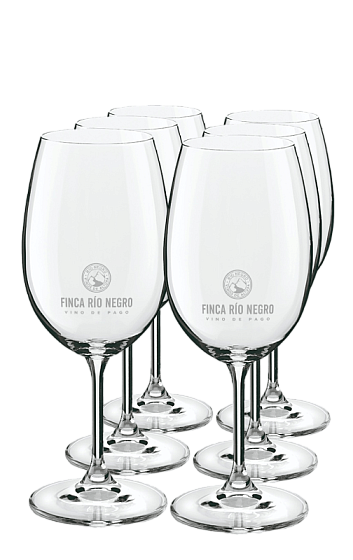 Producto: Copas Finca Río Negro (x6)