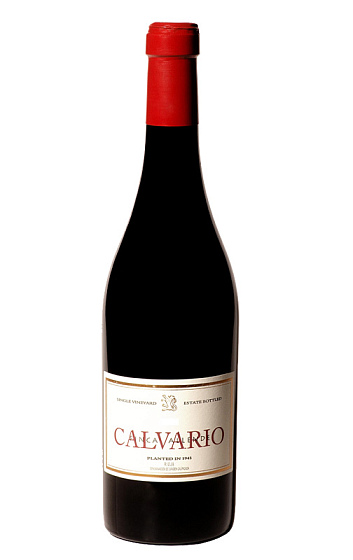 Calvario 2005
