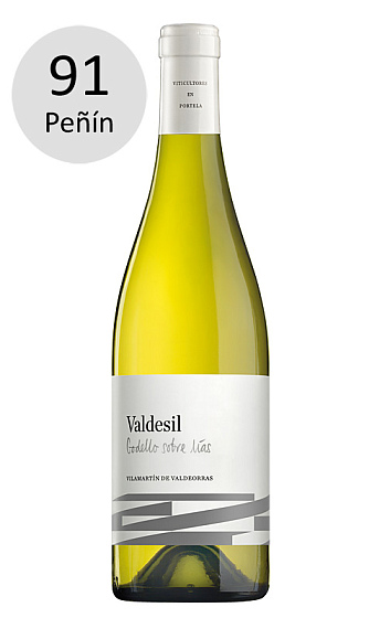 Valdesil 2010