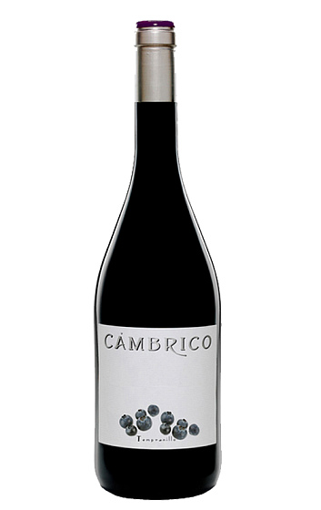 Cámbrico Tempranillo 2009