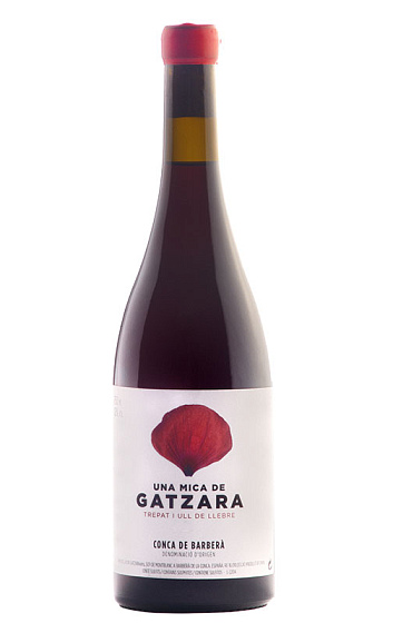 Una Mica de Gatzara 2015