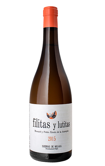 Filitas y Lutitas 2015