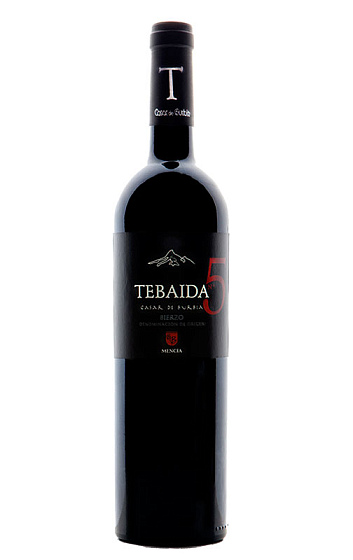 Tebaida nº5 2011