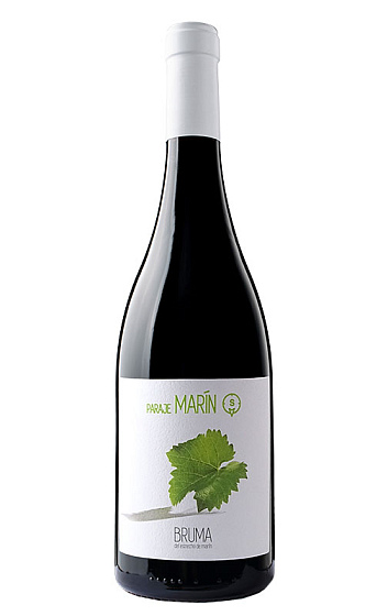 Bruma del Estrecho Marín 2016