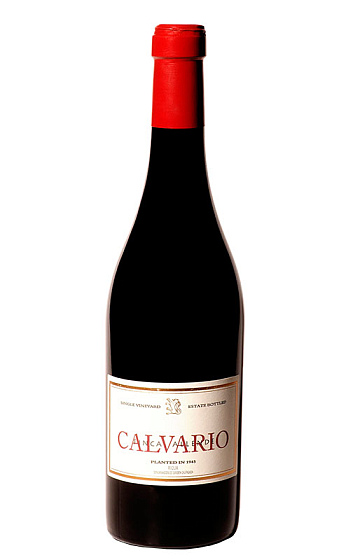 Calvario 2008
