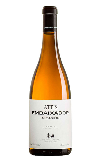 Embaixador 2013