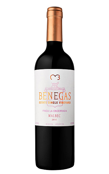 Benegas Single Vineyard Malbec 2014