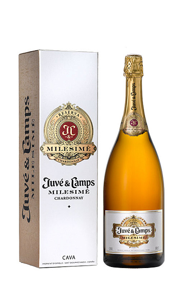 Juvé & Camps Milesimé Brut Reserva 2016 con estuche