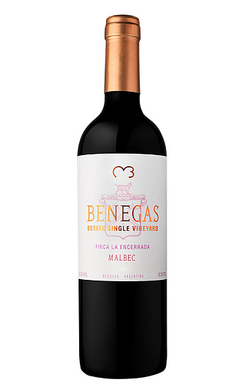 Benegas Single Vineyard Malbec 2017