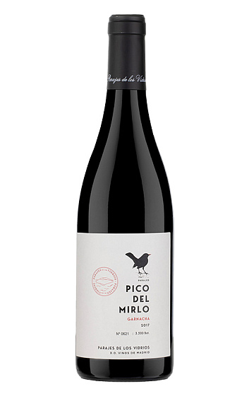 Pico del Mirlo 2017