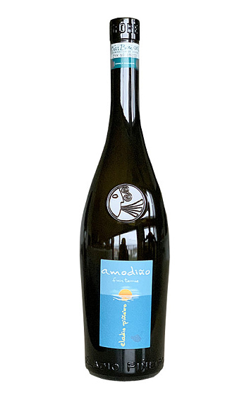 Amodiño Finis Terrae 2016