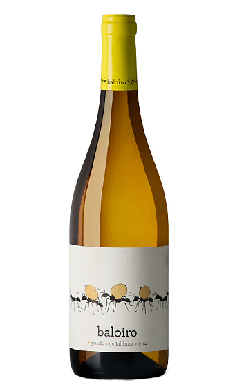Baloiro Blanco Hormigas 2019