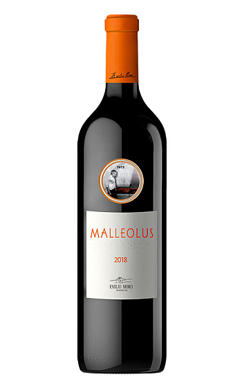 Malleolus 2018 Magnum