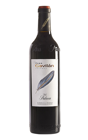 Cepa Gavilán Crianza 2018 Magnum