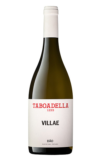 Taboadella Villae Branco 2021