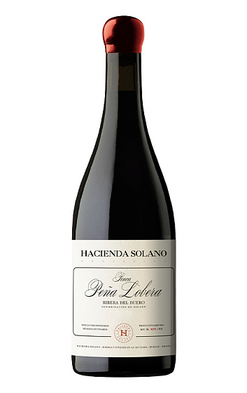 Hacienda Solano Finca Peña Lobera 2019