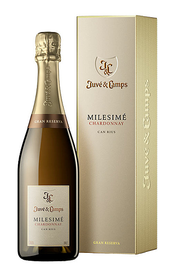 Juvé & Camps Milesimé Chardonnay 2018 con Estuche