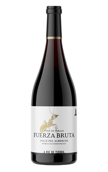 Producto: Fuerza Bruta 2024
