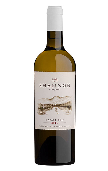 Producto: Shannon Capall Bán 2018