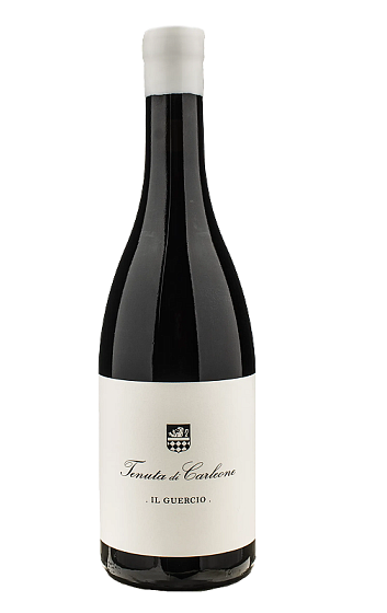 Producto: Tenuta di Carleone Il Guercio 2023