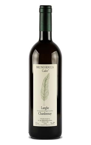 Producto: Bruno Rocca Langhe Cadet 2024