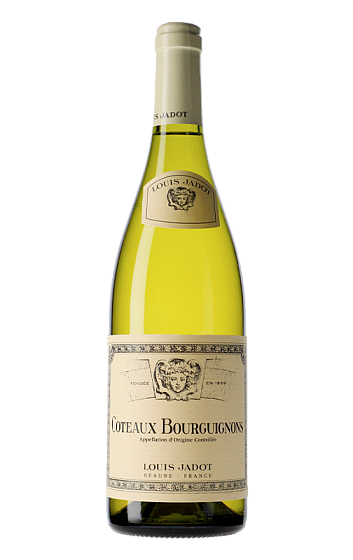 Producto: Louis Jadot Coteaux Bourguignons Blanc 2024