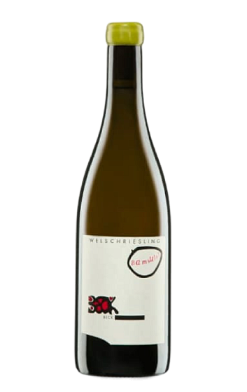Producto: Beck Welschriesling Bambule! 2022