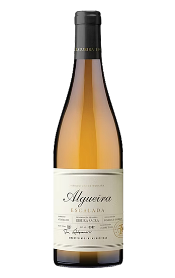 Producto: Algueira Escalada 2024