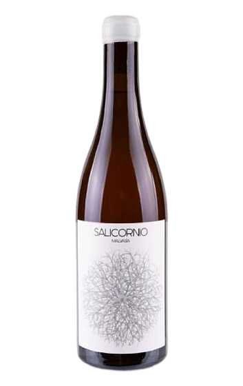 Producto: Salicornio Malvasía 2024