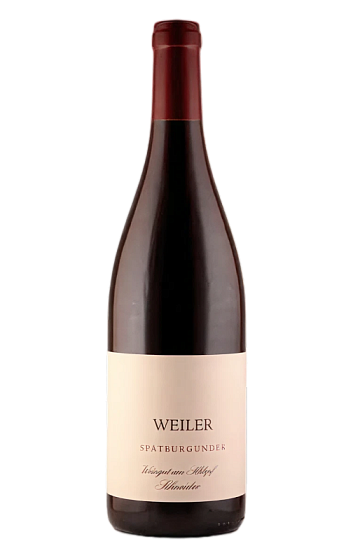 Producto: Weingut am Schlipf Schneider Weil am Rhein Ortswein Spätburgunder 2023