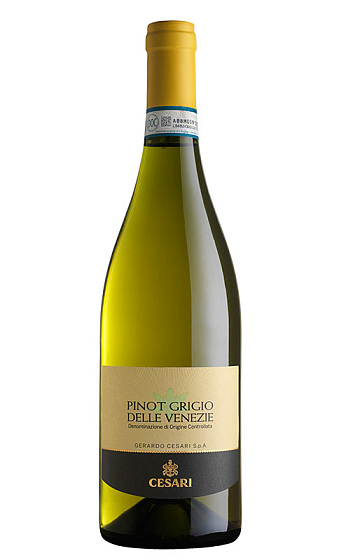 Producto: Cesari Pinot Grigio Delle Venezie 2025