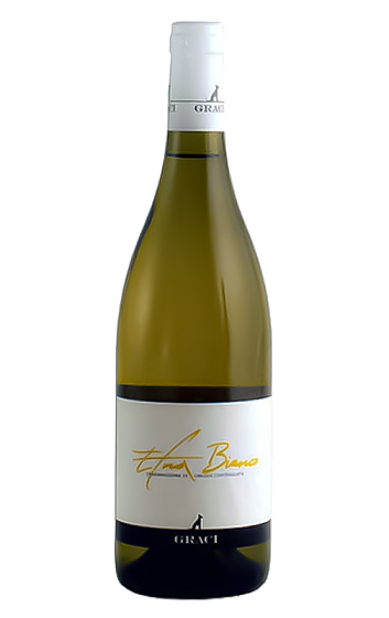 Producto: Graci Etna Bianco 2025
