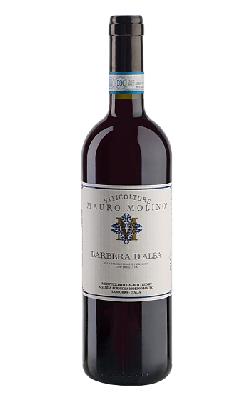 Producto: Mauro Molino Barbera d'Alba DOC 2024