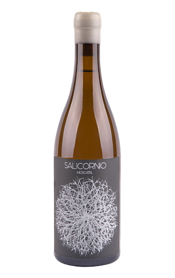 Producto: Casa Balaguer Salicornio Moscatel 2025
