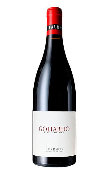 Producto: Forjas del Salnés Goliardo Tinto 2023