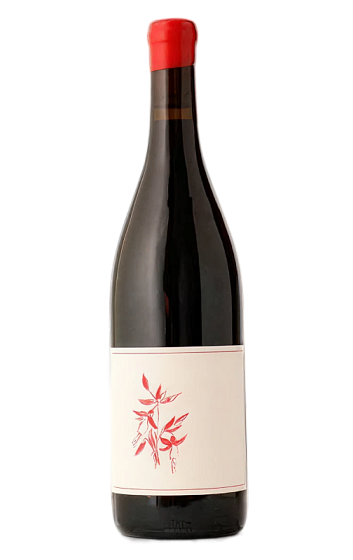 Producto: Arnot-Roberts Heaven and Earth Pinot Noir 2024