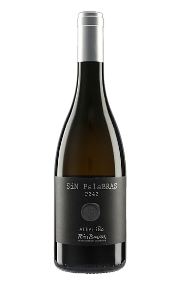 Producto: Sin Palabras P 242 2024