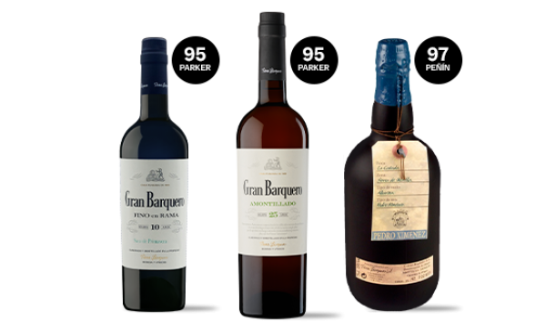 Accion2 perezbarquero