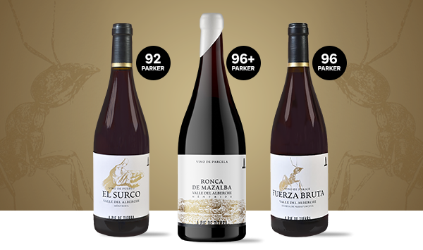 A Pie de Tierra: tremendos vinos en las estribaciones de Gredos