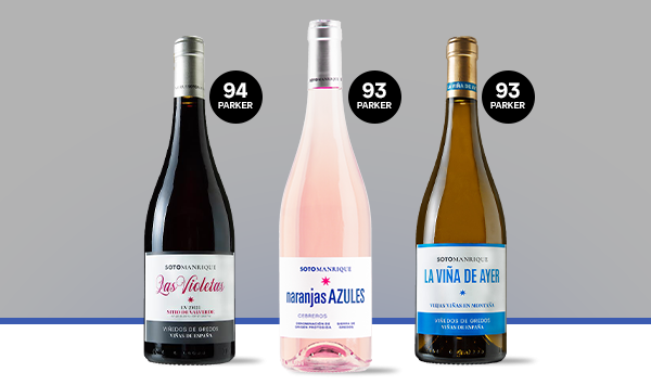 Principal sotomanrique