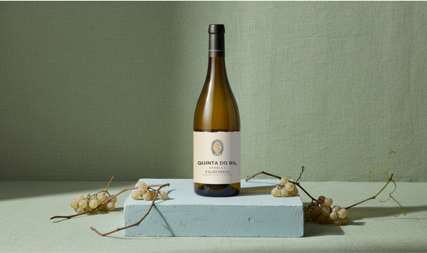 Quinta do Sil Godello en Venta Privada