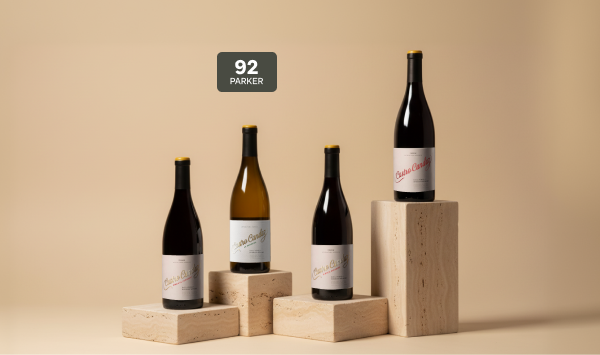 Principal castrocandaz