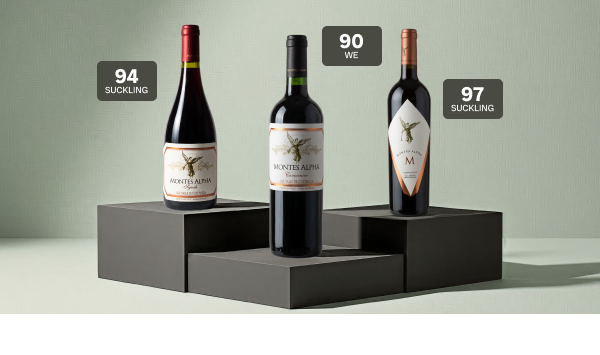 Viña Montes: pasaporte a Chile