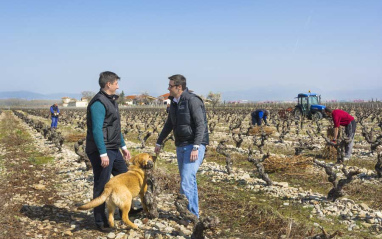 Los hermanos Hernáiz en el viñedo de Finca La Emperatriz