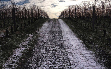 Paisaje del valle Willamette 