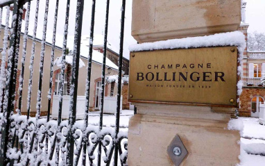 Puerta de entrada a la Maison Bollinger